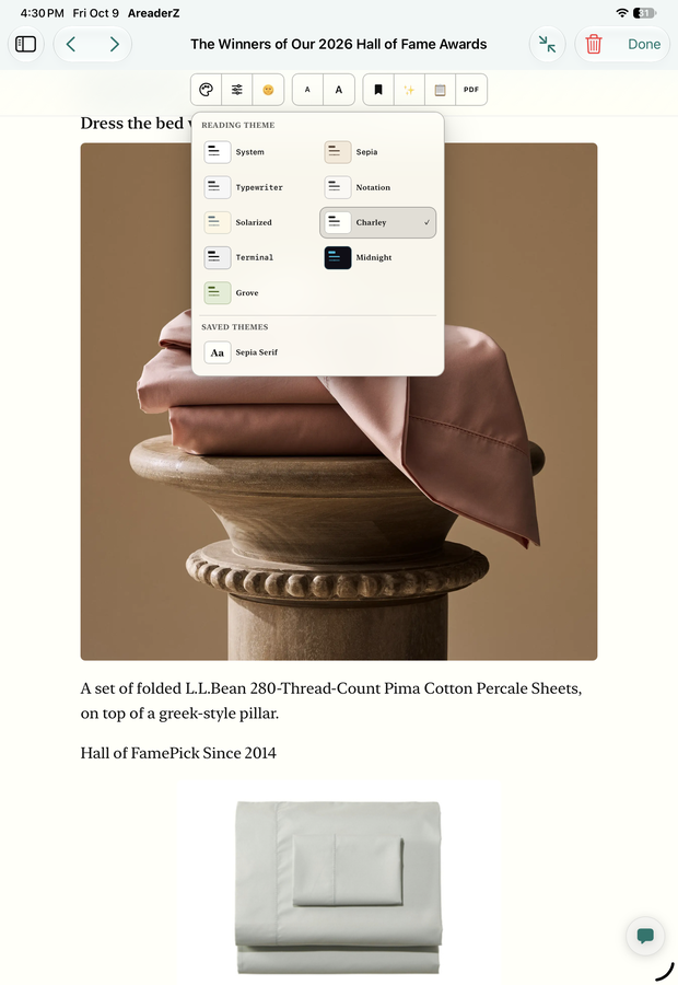 The reading-theme picker in the AreaderZ app on an iPad: ten theme thumbnails with their names, and a saved theme, over the article.